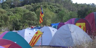 acampallengua06h.jpg, 16 KB