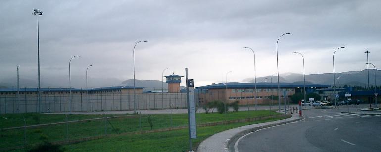 3presopalma3.JPG, 25 KB