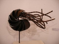 Nautilus_Toni_ de_la_Mata.jpg, 19 KB