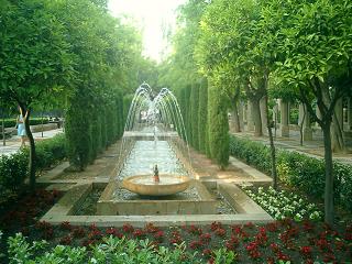 PRO SAHARA 2005 H.JPG,  bytes