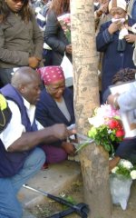 ebulabate1.jpg, 38 KB