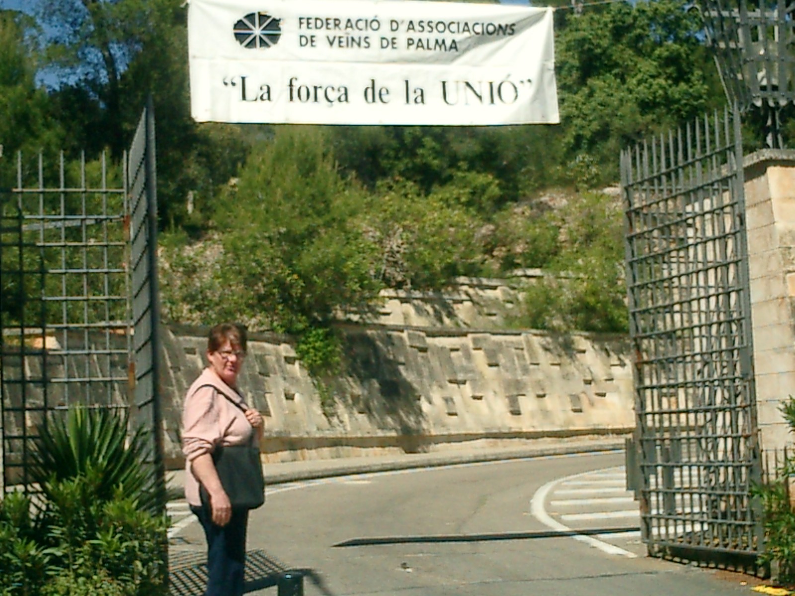 faavvciutat festa angel 02.jpg, 417 KB