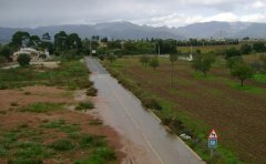 larealinundadaanys50.JPG, 46 KB